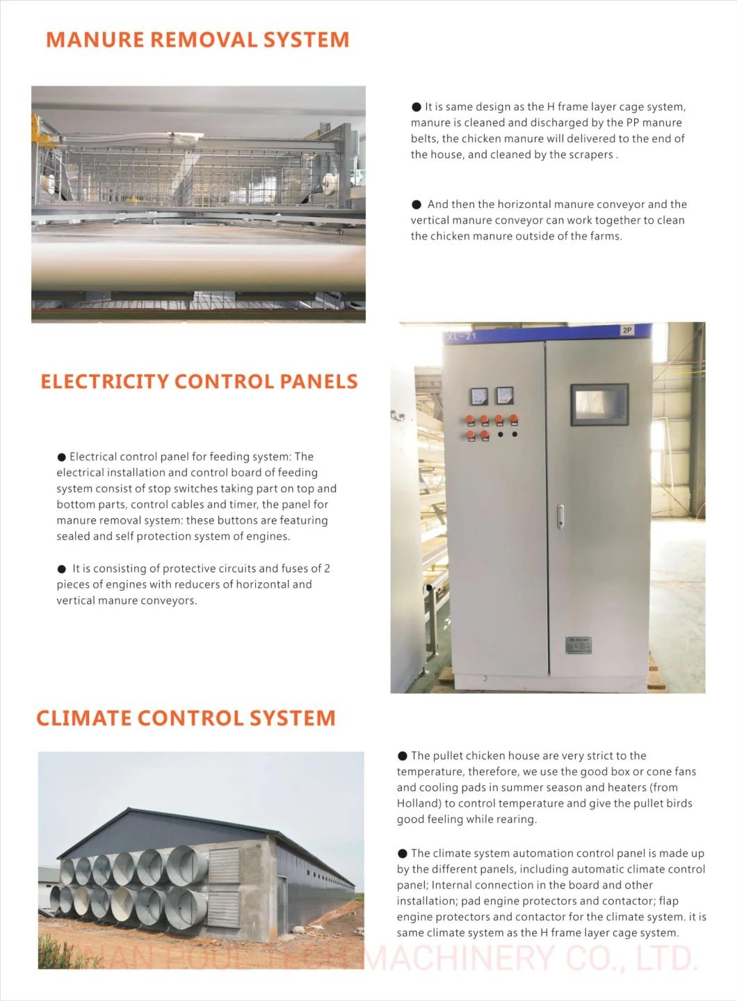 Best-Selling Type H Chicken Poultry Raising Equipment