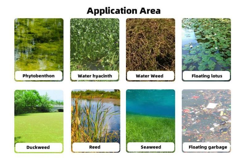 High Efficiency & Capacity Water Hyacinth/Entermorpha/Blue-Green Algae Harvester