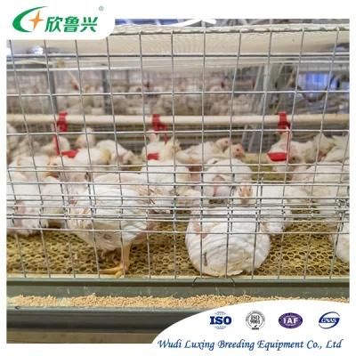 China Nipple Drinker Automatic Poultry Nipple Drinking System for Chicken