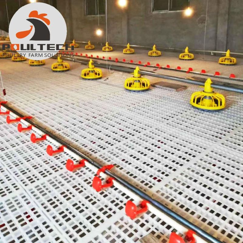 Broiler Chicken Flooring Raising System and Deep Litter Equipment for Poultry Farm