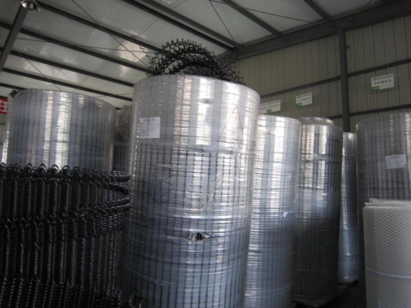 Poultry Equipment Chicken Farm Project Auto Feeding System