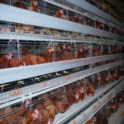 a Frame Livestock Machinery Layer Chicken Cage for Poultry Farm