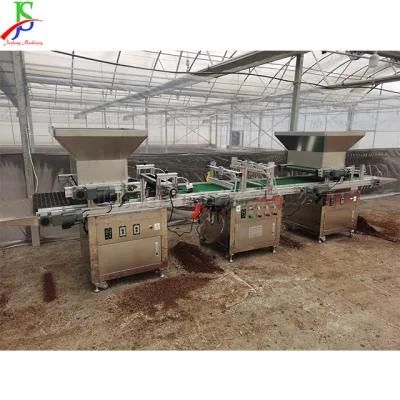 Full Automatic Seeder Planter Variable Frequency Speed Regulation Soil Loading Transportation Hole Tray Seedling Machine