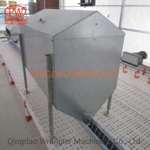 Poultry Automatic Feeder Chain Feeding System for Broiler and Breeder Hens