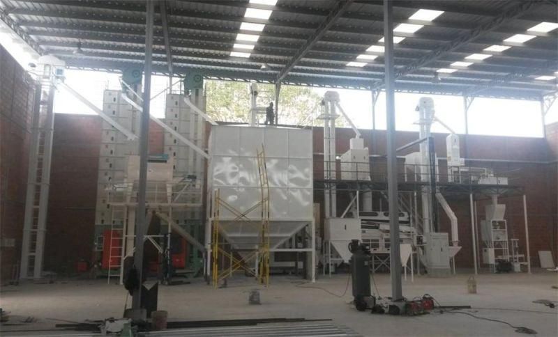 Paddy Seed Processing Plant /Wheat Maize Seed Processing Line