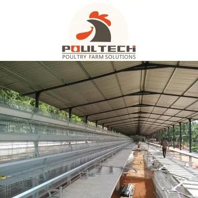 Poultry Farming Equipment and Chicken Cage Birds Cage for Sales