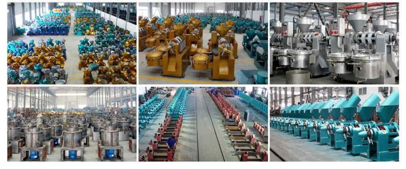 1-20 Tons Per Day Palm Kernel Spiral Oil Pressing Machine