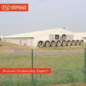 Complete Set of Automatic Poultry Farm Equipment for Broiler