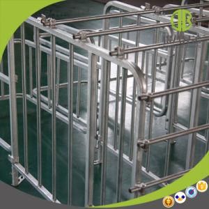 International Standard Gestation Stall Pig Stall for Pig Farm