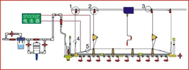 Automatic Poultry Nipple Drinkers for Poultry Farming Equipment