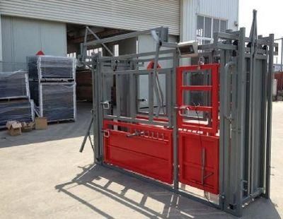 Cattle Crush Hdp or Powder Coated on Sale