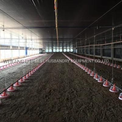 Low Cost Steel Frame Prefabricated Chicken House Poultry Farming Business Plan in Philippines