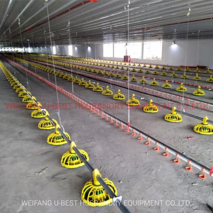 Low Price Automatic Poultry Feeders Gi Pipe Price for Broiler Chicken