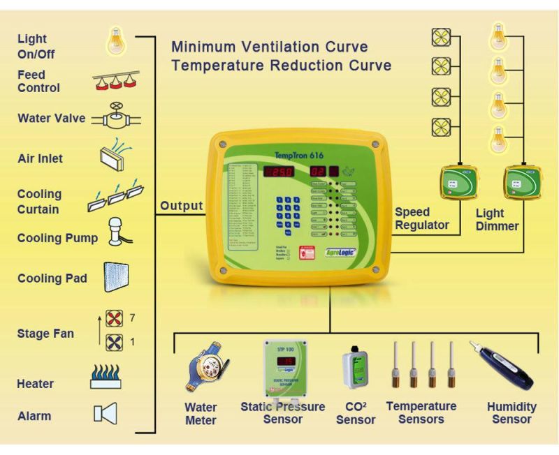 Automatic Chicken Poultry Farm Equipment Use in Chicken House