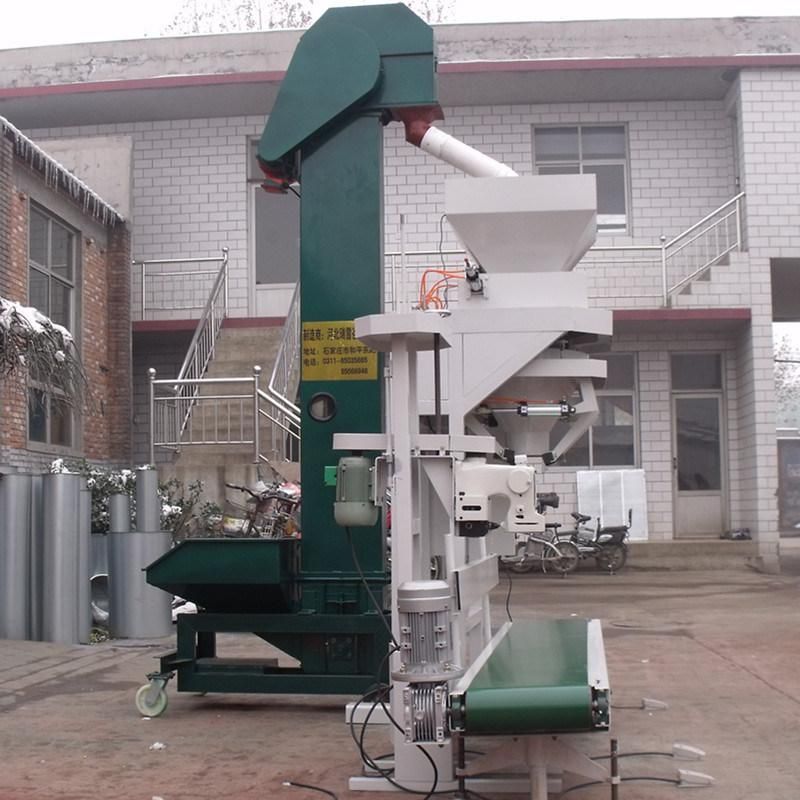 Grain Seed Packaging and Bagging System (DCS-25B)