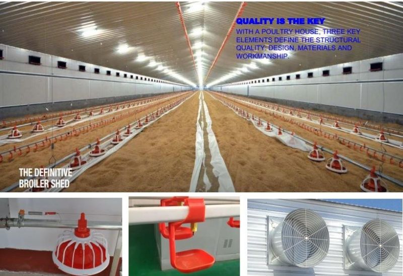 Automatic Broiler Poultry Farm House Design with Full Equipments
