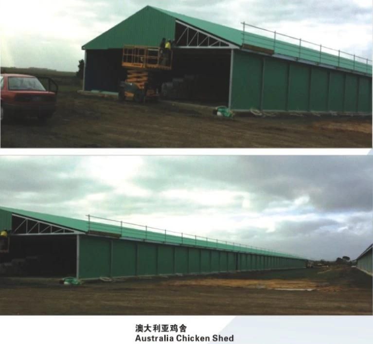 Australia Chicken Shed