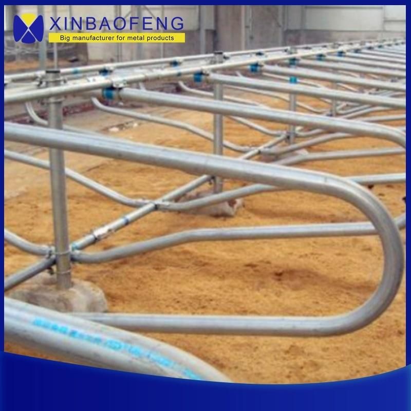 New Design Factory Price High Quality Hot Galvanized Standard Dairy Cow Free Stall for Sale