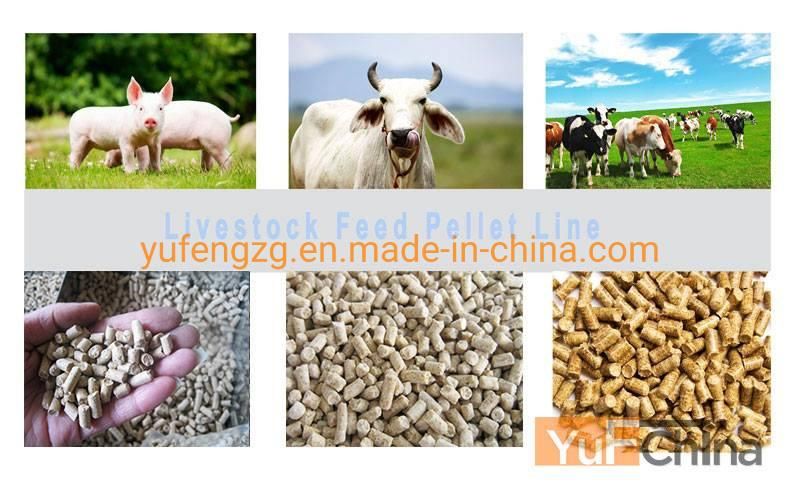 Animal Feed Pellet Machine/Feed Processing Plant for Sale