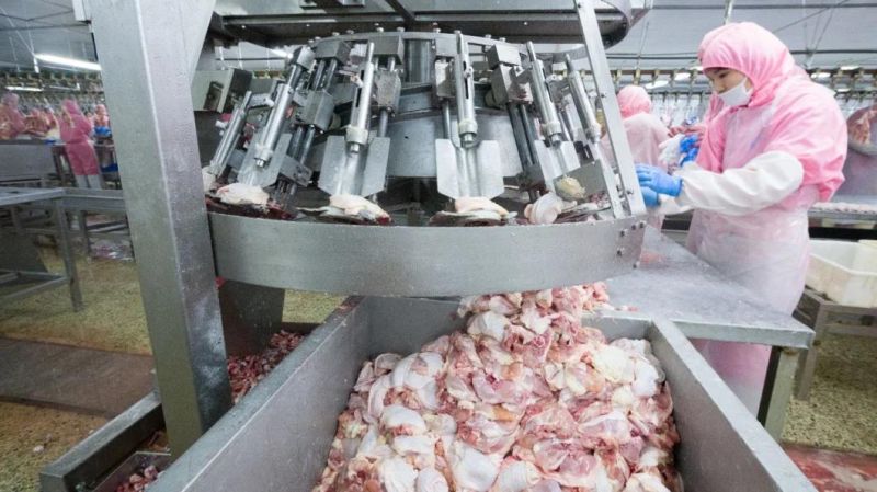 Poultry Processing Slaughtering Equipment Chicken Slaughterhouse Chicken Drumstick Deboner/Poultry Thigh Deboner