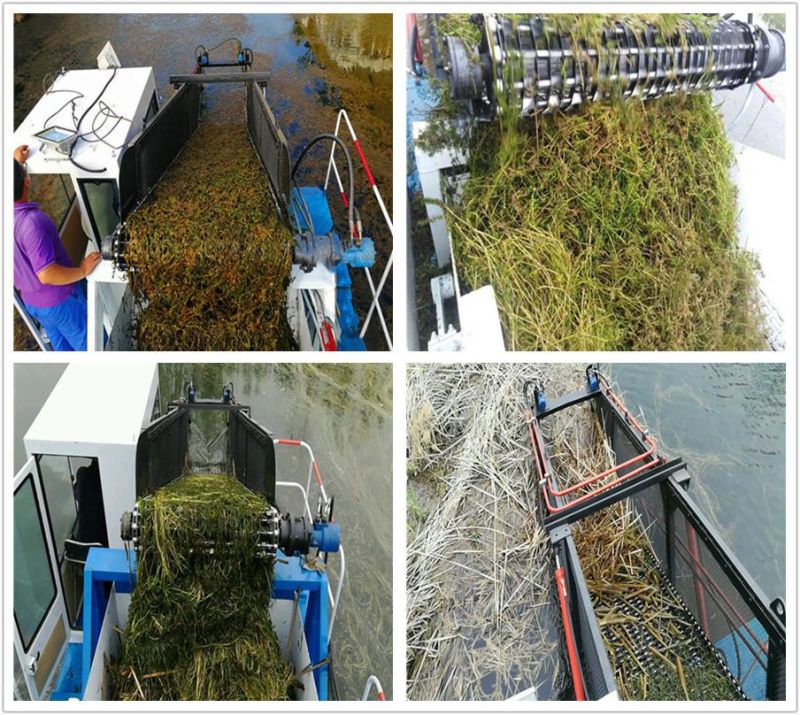 High Efficient Aquatic Weed Transport Ship for River Clean