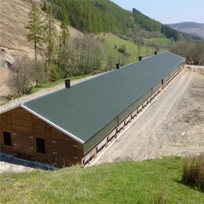 Prefab/Prefabricated Light Steel Structural Quality Meat Chicken System
