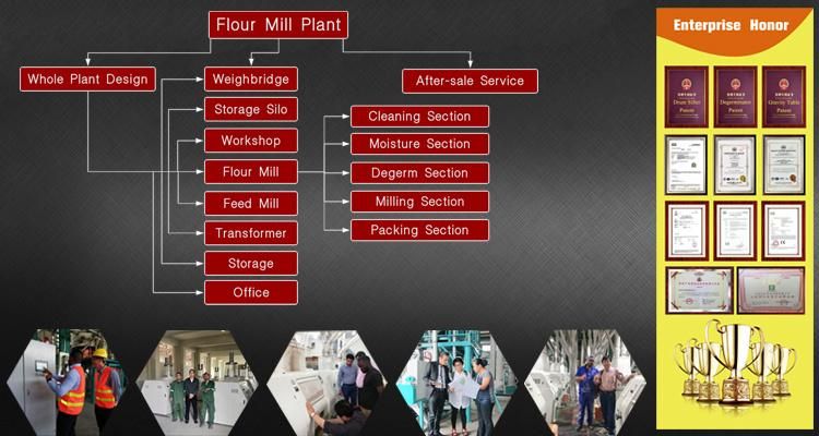 Africa Customized Technological Process Maize Flour Milling Machine