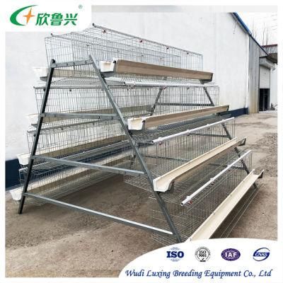 H Type Automatic Layer Cage for Layer Poultry Farming