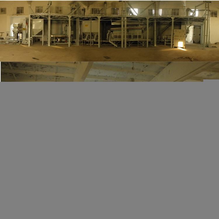 Seed Processing Plant for Maize Sorghum