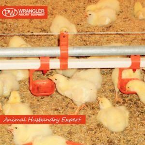 High Quality Poultry Farm Nipple Drinker for Chicken/Layer/Broiler/Breeder