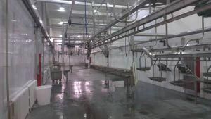 2.5kw Custom-Made Sheep Bloodletting Conveying Processing Slaughtering Machine