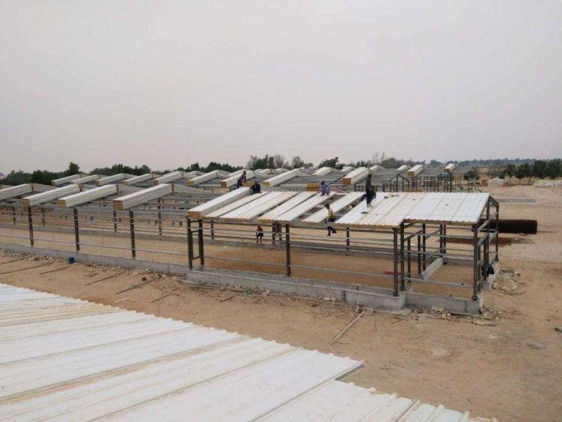 Foreign Exports of High-Quality Steel Chicken Coop