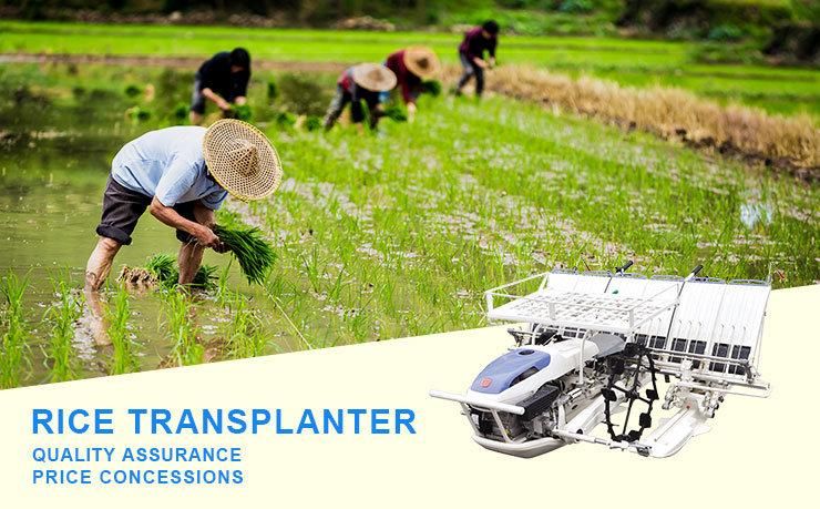 4 Row Manual Paddy Planter Rice Transplanter