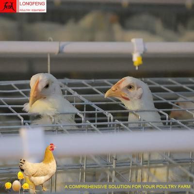 Mature Design, Durable and Sturdy Chicken a Type Egg Laying Cage