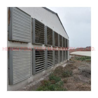 2022 Chicken Cages for Africa Poultry House Layer Chicken Design