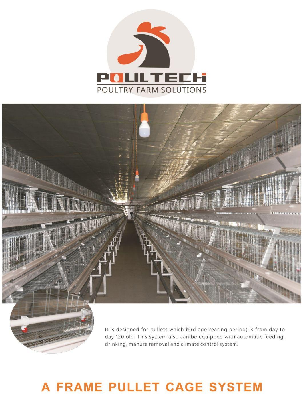 2019 Hot Production a Type Battery Egg Layer Chicken Cages