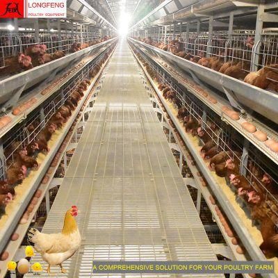Hot Saleprofessional Poultry Farm Equipment 96 Birds-384 Birds Per Set