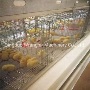 Commercial Egg High Quality Indian Poultry for Chicken Layer Battery Brolier Farming Cage