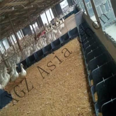 Newly Designed Duck Breeding System