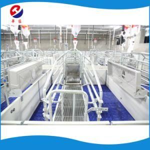 European Standard Swine Farrowing Crate Model Made in China for Sale Livestock Machinery