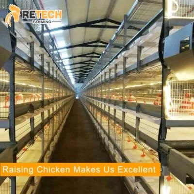 Automatic Poultry Equipment for Broiler Raising for sale