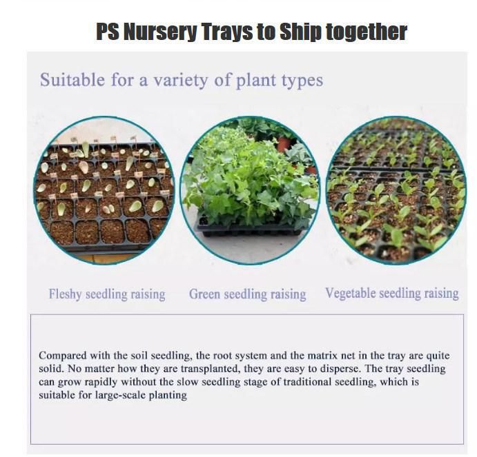 Automatic Vegetable Seeder Seed Sowing Machine Line for Seedling Tray