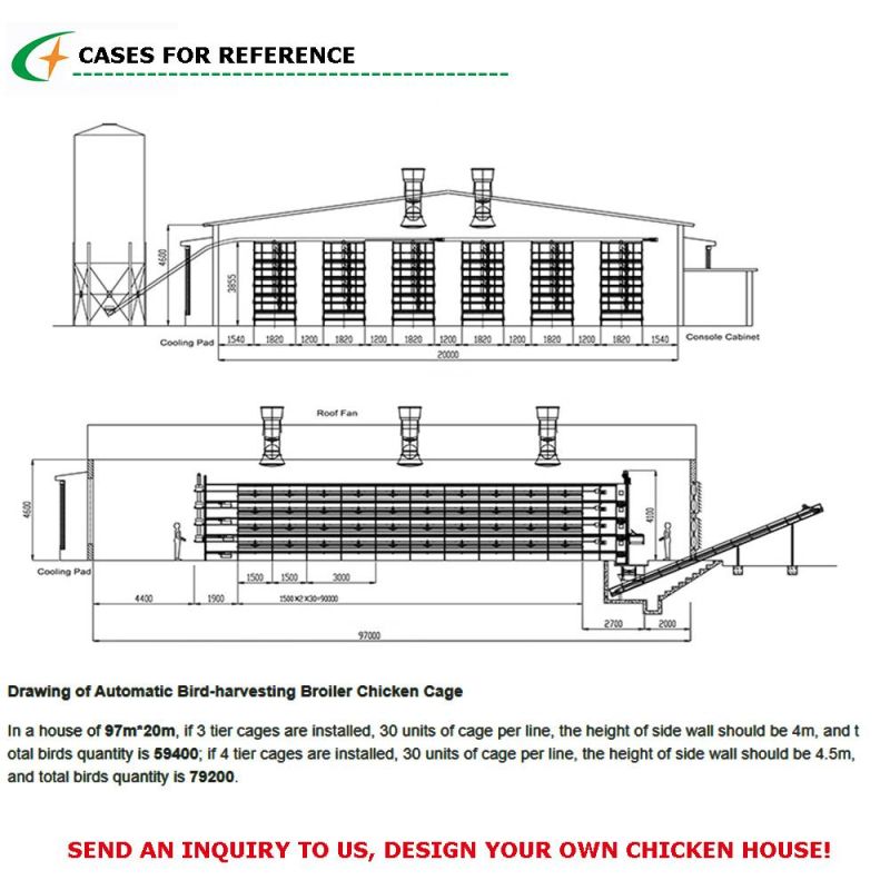 H Type Poultry Equipment Automatic Galvanized Broiler Breeding Battery Chicken Cage for Rooster