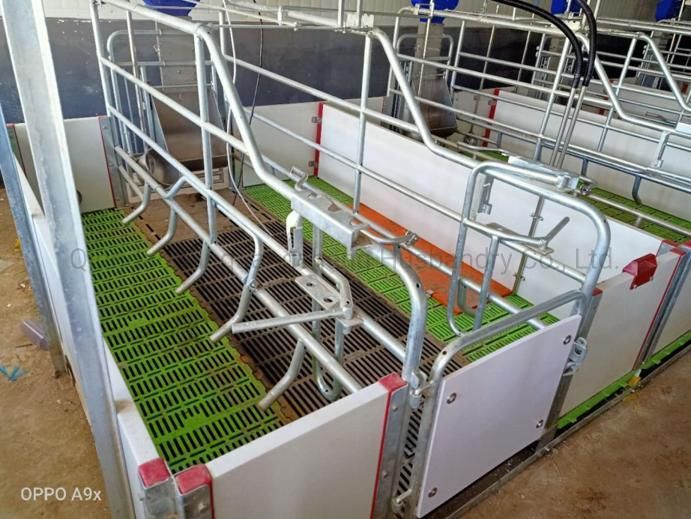 Automatic Control Economic Pig Feeding System Pig Equipment