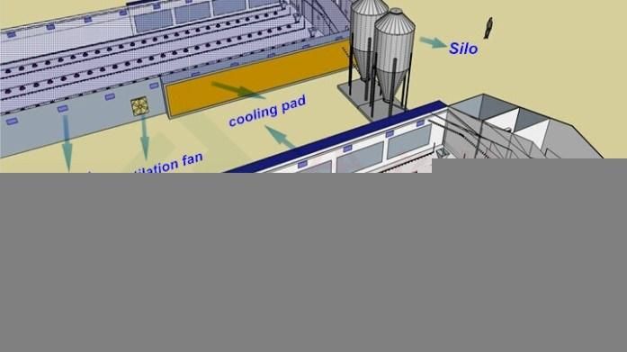 Hot Sale Design Modern Chicken Farm Equipment for Poultry