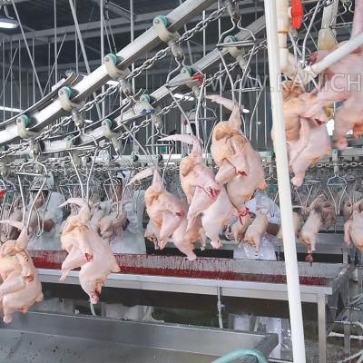 Stainless Steel 304 Chicken Abattoir Slaughter Equipment Poultry Slaughtering Equipment Chicken