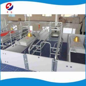 Price-off Promotions Hot-Dipped Galvanized Swine Farrowing Crates for Pigs /Livestock Machine