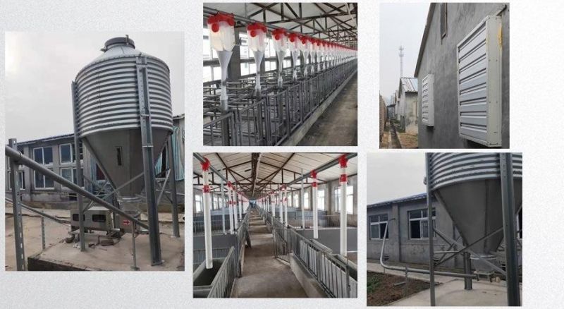 Plastic Feed Quantitative Cups Automatic Feeders for Pig Feeding