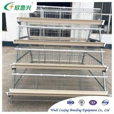 Q235 Galvanized Steel Wire a Type 3 Layers /4 Layers Steel Chicken Cage