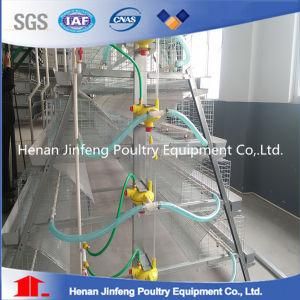 Q235 Steel Wire Chicken Egg Poultry Farm Equipment